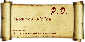 Pandurov Dóra névjegykártya